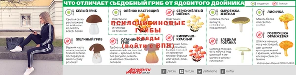 марихуана Абаза