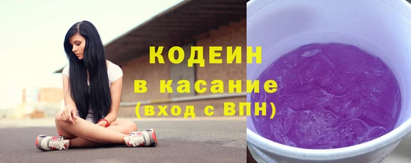 индика Абинск