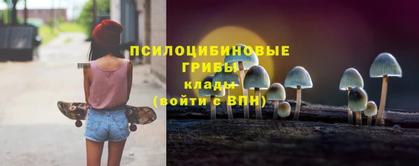 индика Абинск