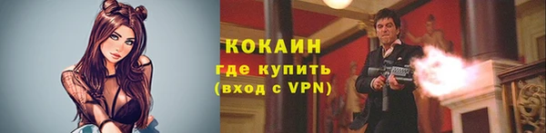 индика Абинск