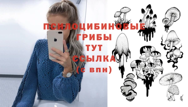 марихуана Абаза
