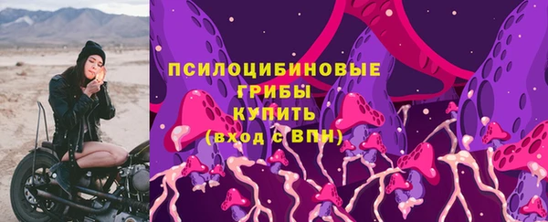 индика Абинск