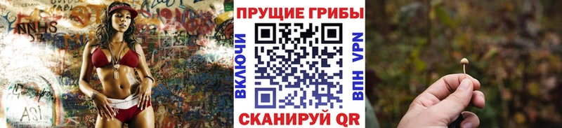 кракен tor  Тырныауз  Галлюциногенные грибы мицелий  магазин  наркотиков 