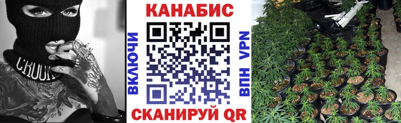 Конопля Ganja  наркотики  Тырныауз 